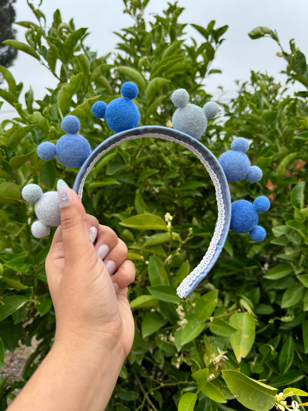 Blue Dog Crown